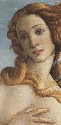 Sandro Botticelli The Birth of Venus (mk36) oil painting reproduction